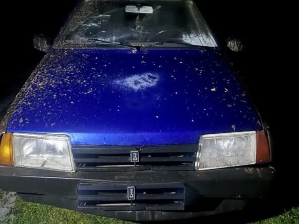    Фото: t.me/gibdd123region