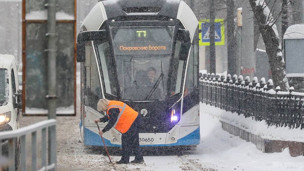    Фото: Ярослав Чингаев / АГН Москва
