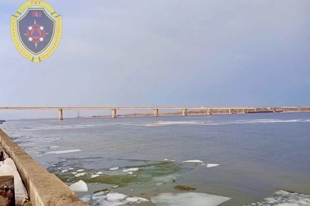    В Волгограде спасатели вытащили из Волги упавшую с моста девушку-подростка