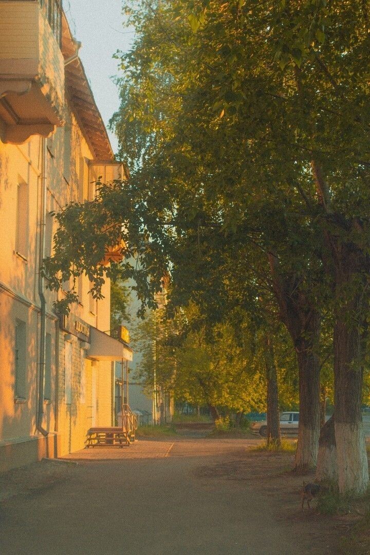 #романтика #любовь #учеба #студенты #май