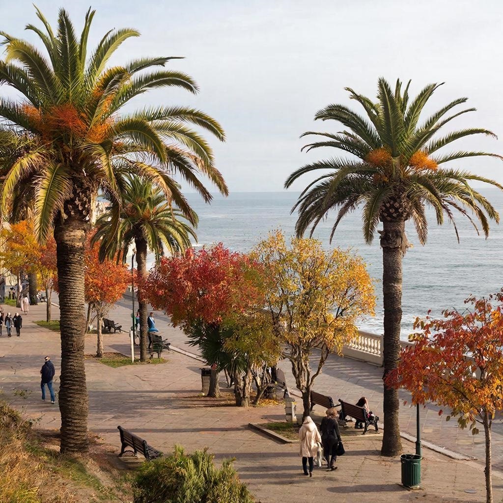 Набережная без толп: наслаждайтесь видами и свежим морским воздухом