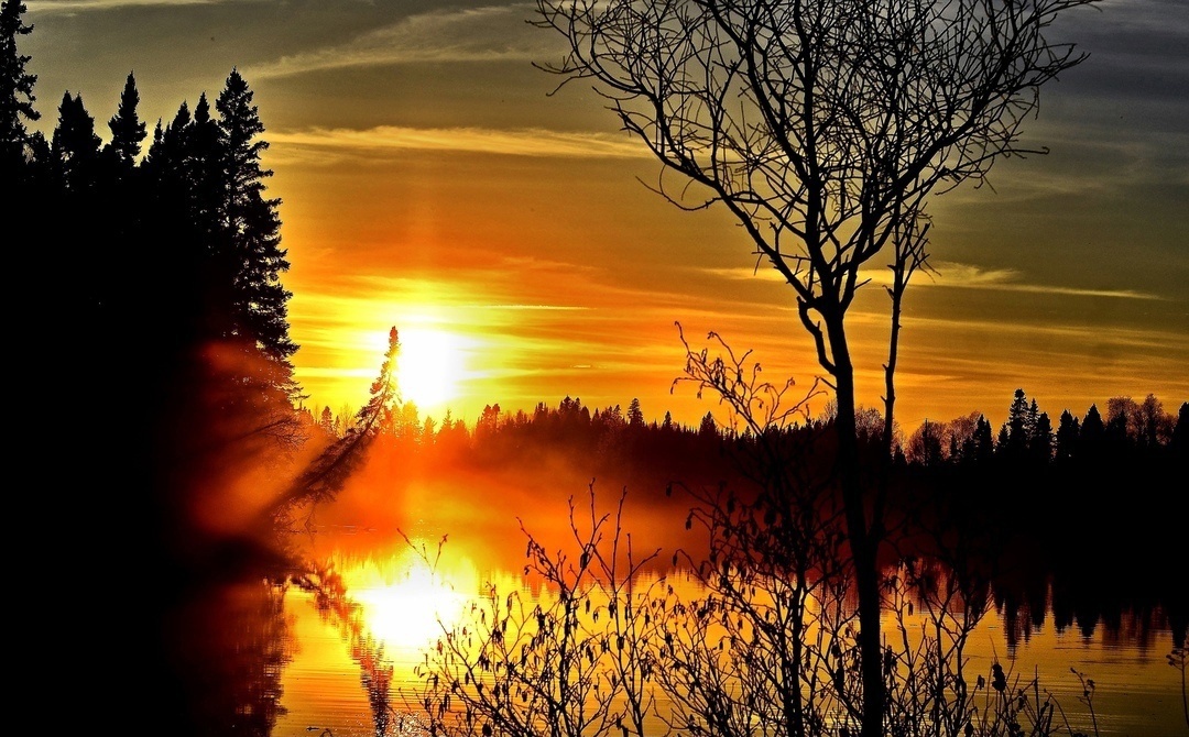 фото взято из открытого источника