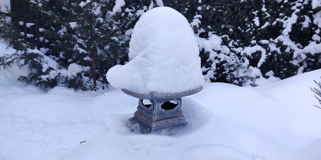 Прощаемся с самой снежной зимой в Ростове-на-Дону за последние 12 лет!