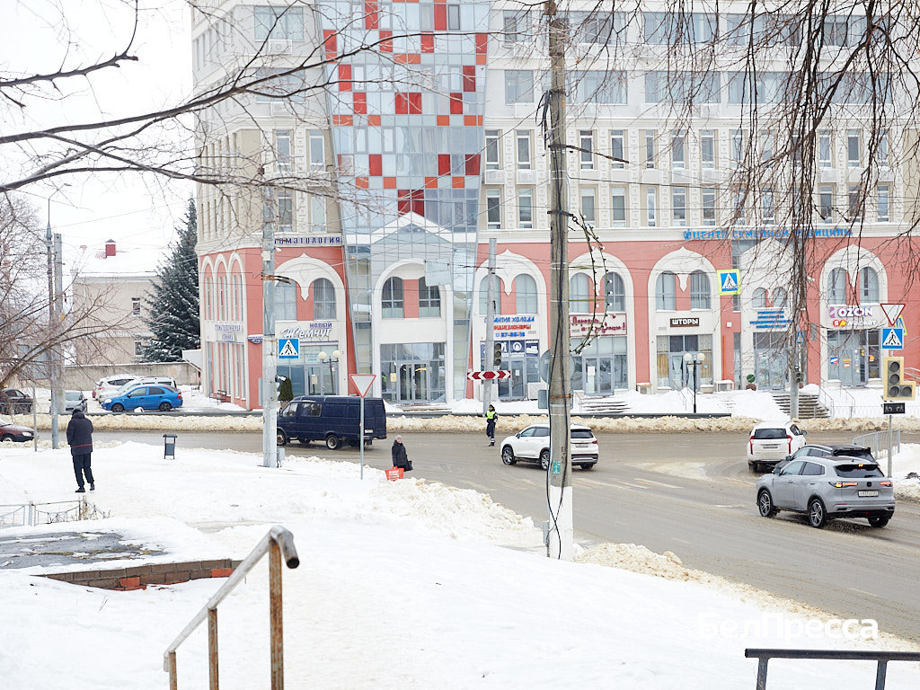     Фото: Елена Журавлёва (архив)