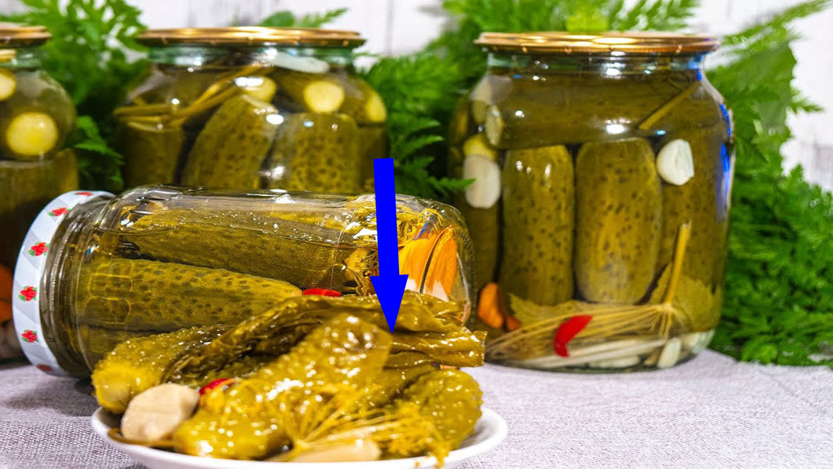    Секрет хрустящих солений без дубовых бочек раскрыт