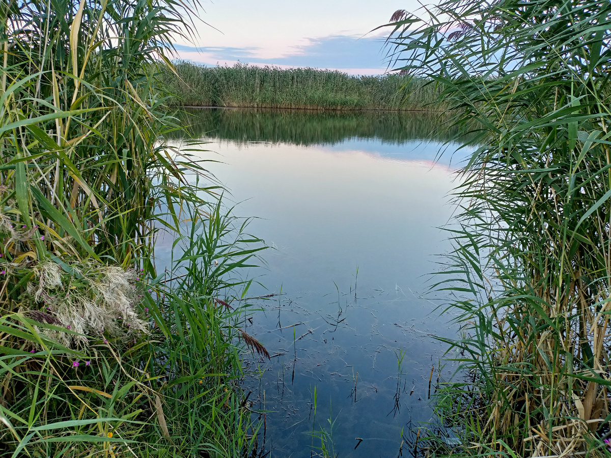 Линевое место