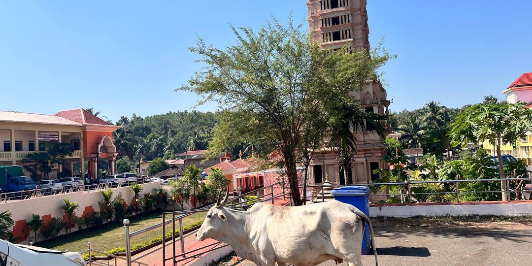 Южный Гоа. Индия. Что посмотреть и чем заняться.