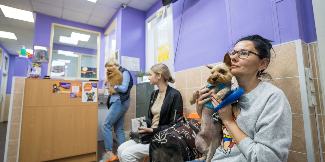 Почему в «чистых» ветклиниках распространяются инфекции — 5 ошибок в биобезопасности, которые есть у всех