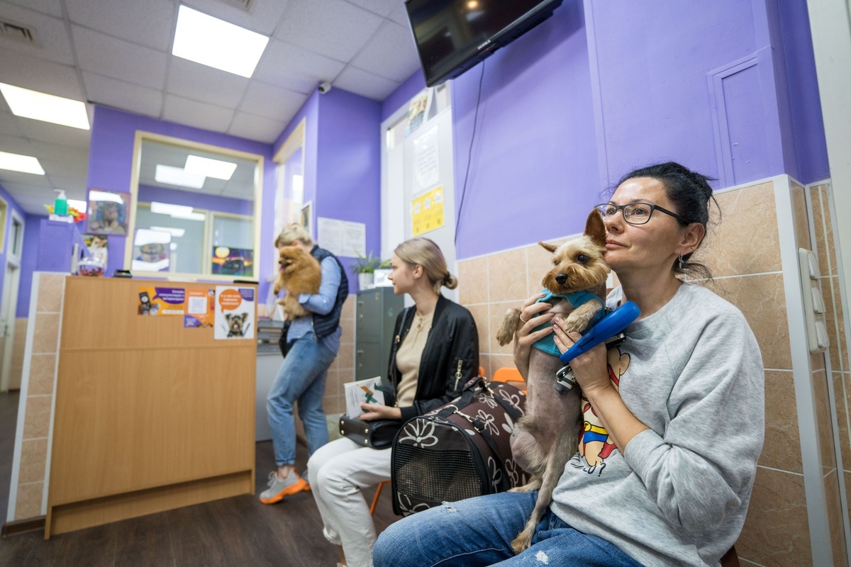 Ученые опубликовали руководство для университетских лечебниц, чтобы не допустить вспышек инфекционных заболеваний в них. Фото: Александр Плонский / «ВиЖ».