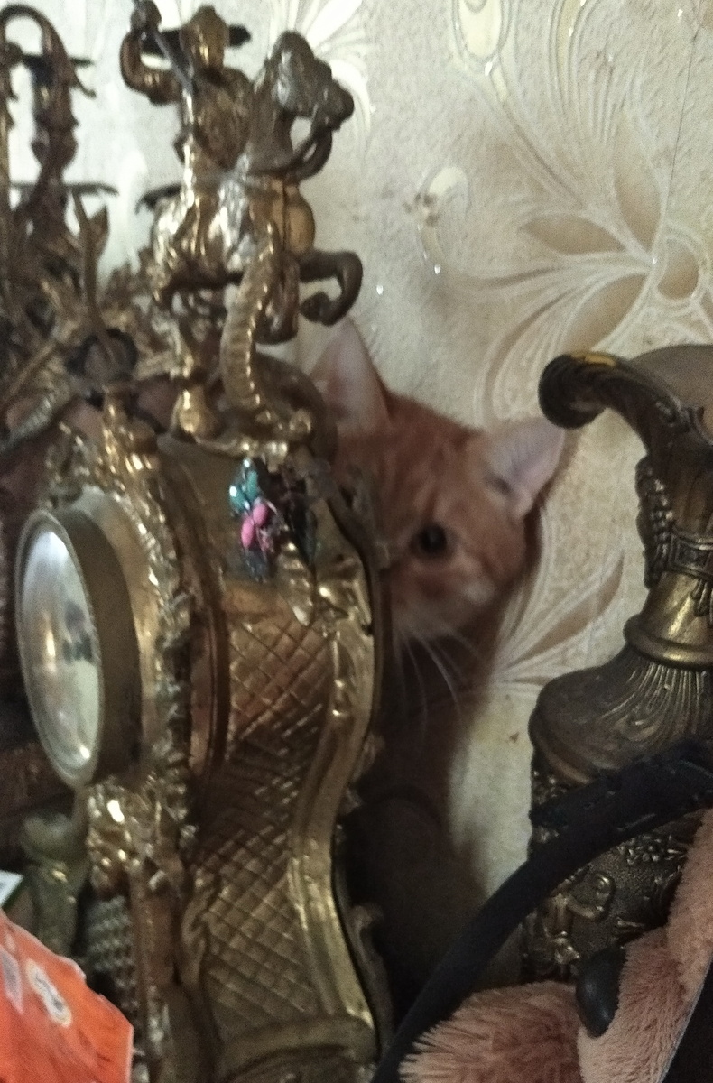 Личное фото