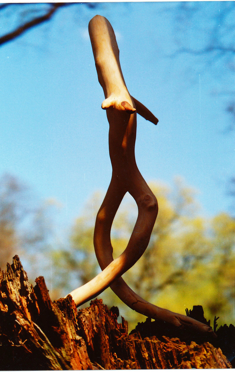 Танец на гребне