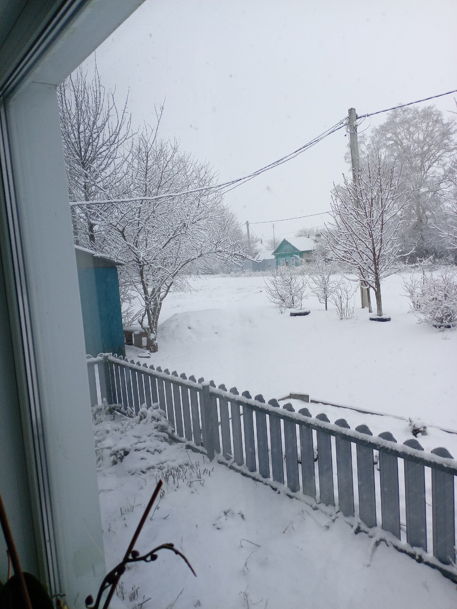 улица из окна 