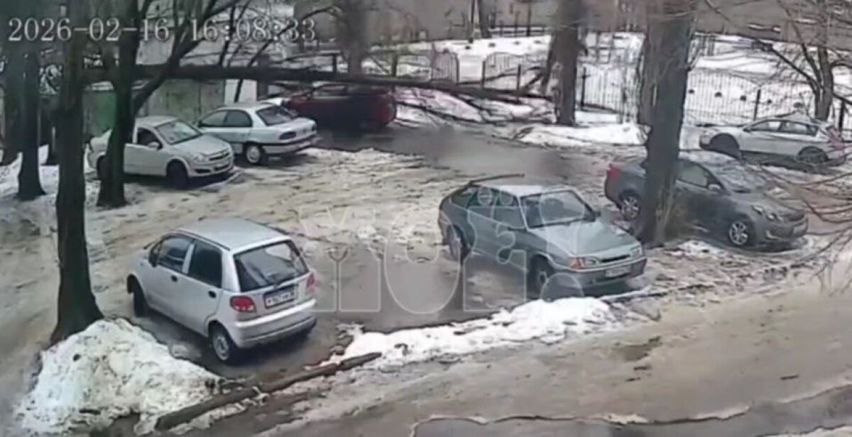    Фото: читатель «МОЁ!»