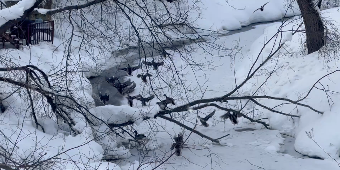 Воскресный день на Талице