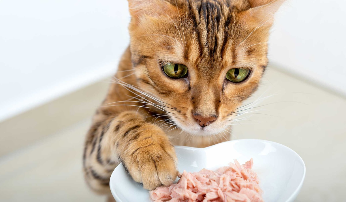 Фото из Интернета. 