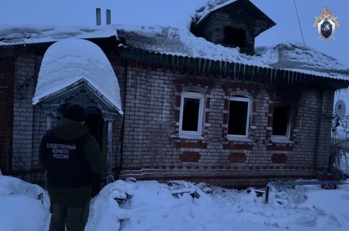    Прокуратура организовала проверку после гибели детей при пожаре в Лыскове