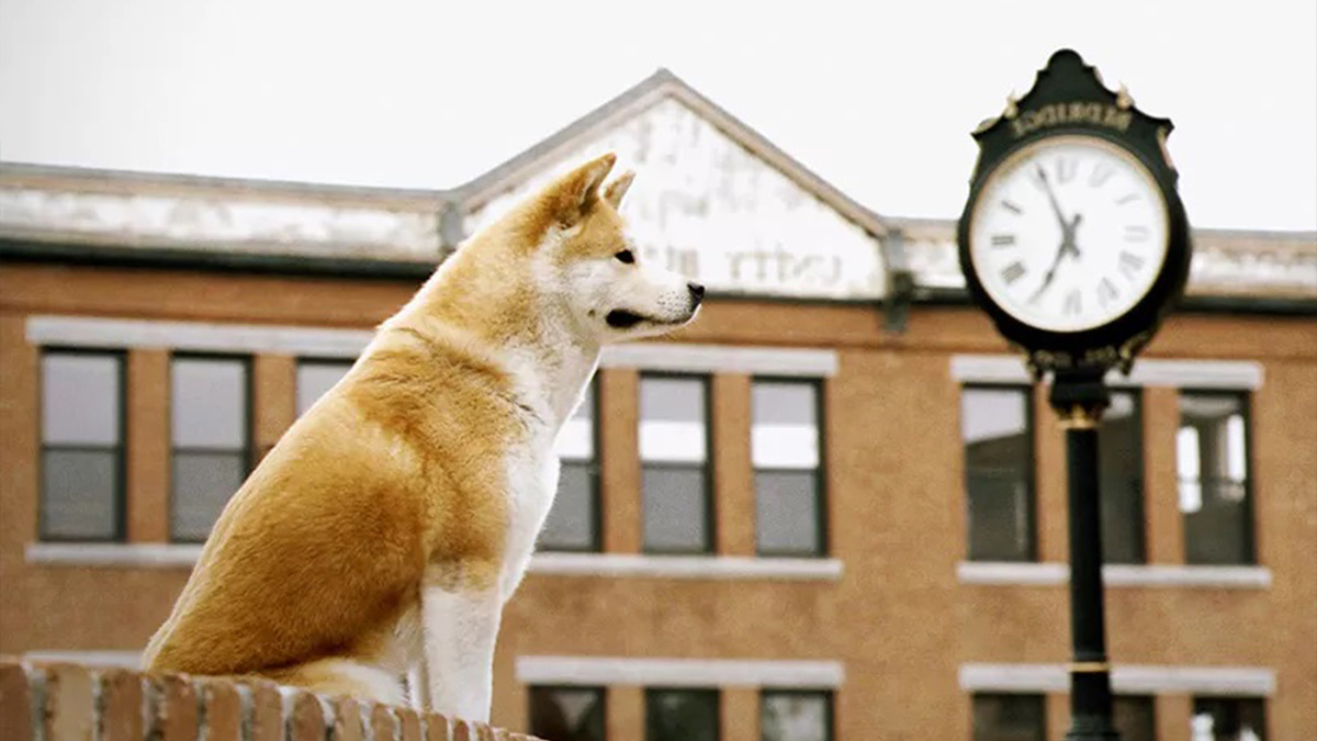 Фрагмент из фильма «Хатико: Самый верный друг»