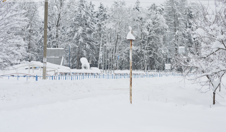 Фото автора. 16.01.2026. Станица. Кубанская зима, увы, не надолго.