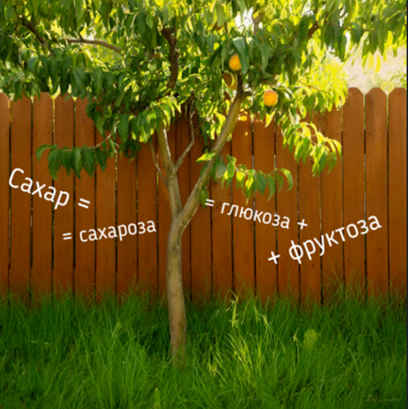 Столовый сахар = сахароза = глюкоза + фруктоза