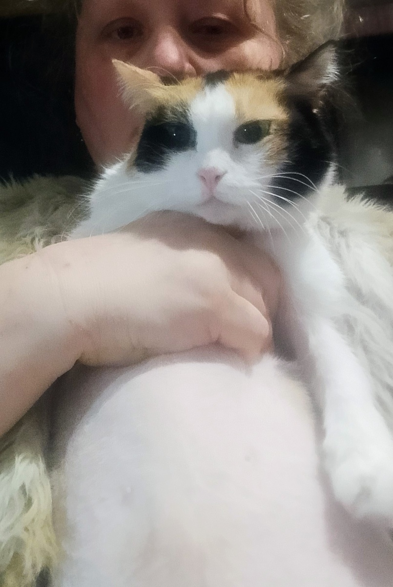 Чуть-чуть кабачкового пуза покажем, а целиком стесняемся