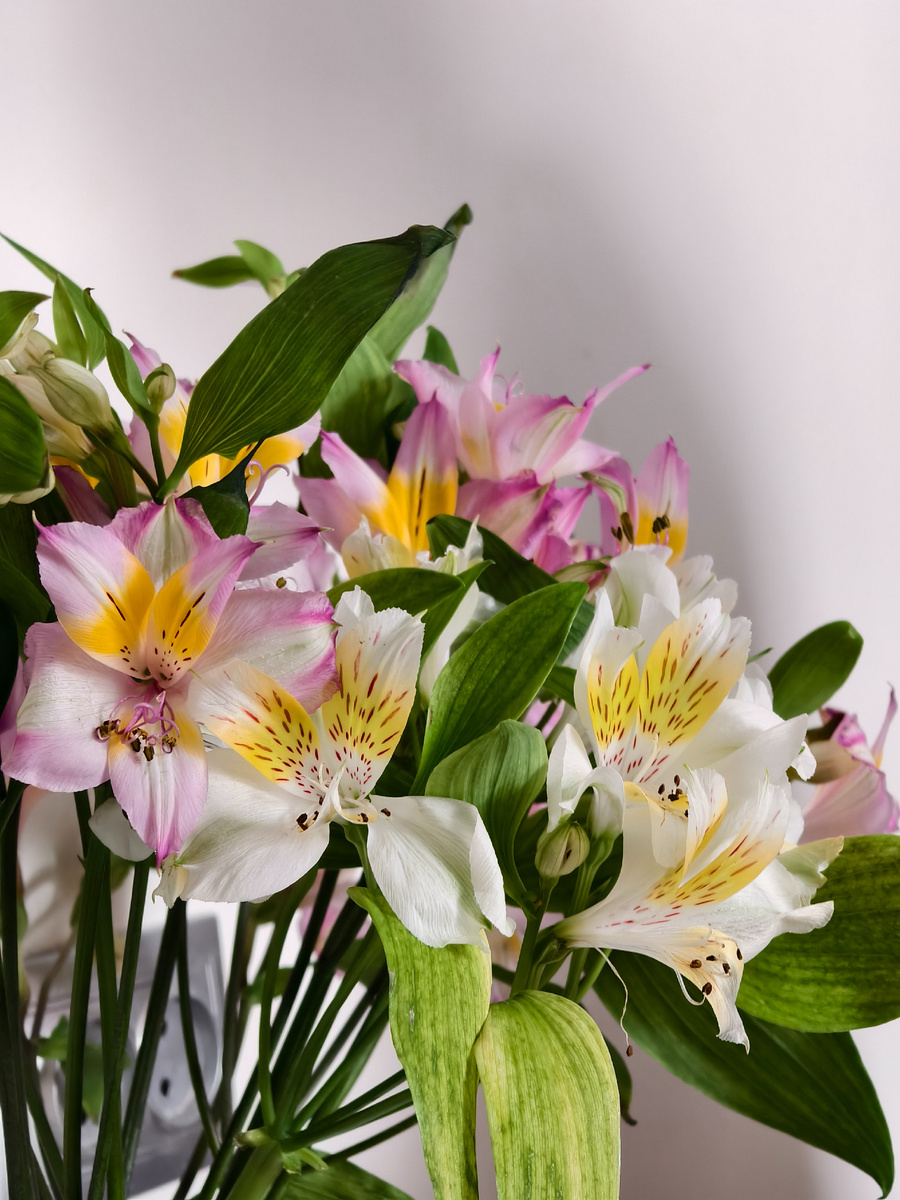 Цветы еще ничего