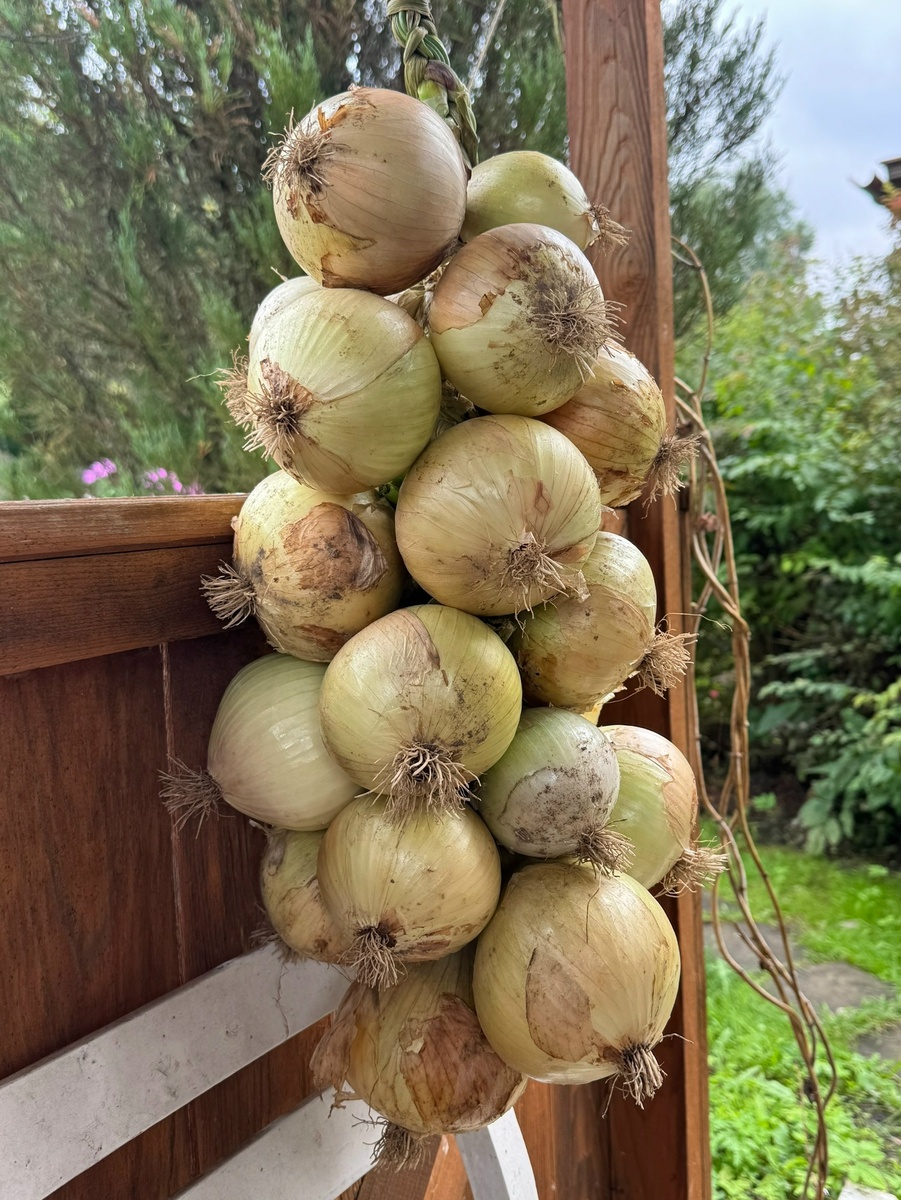 часть моего урожая 2026