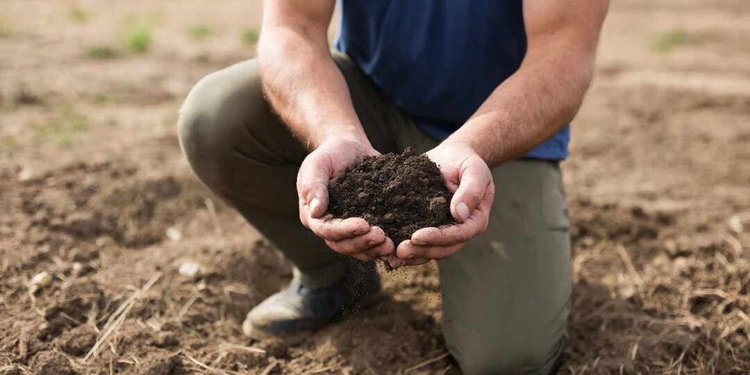 Как самостоятельно проверить качество грунта на участке?