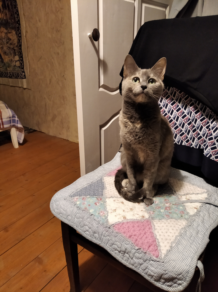 Маша. Она ушла на радугу несколько лет назад.