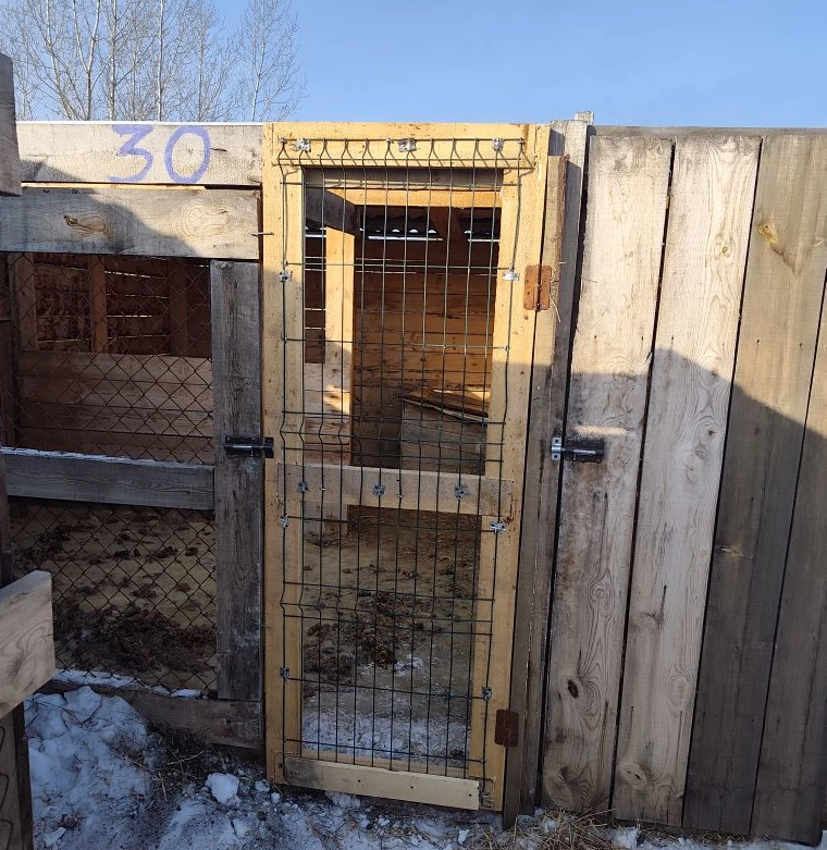 Новая дверь