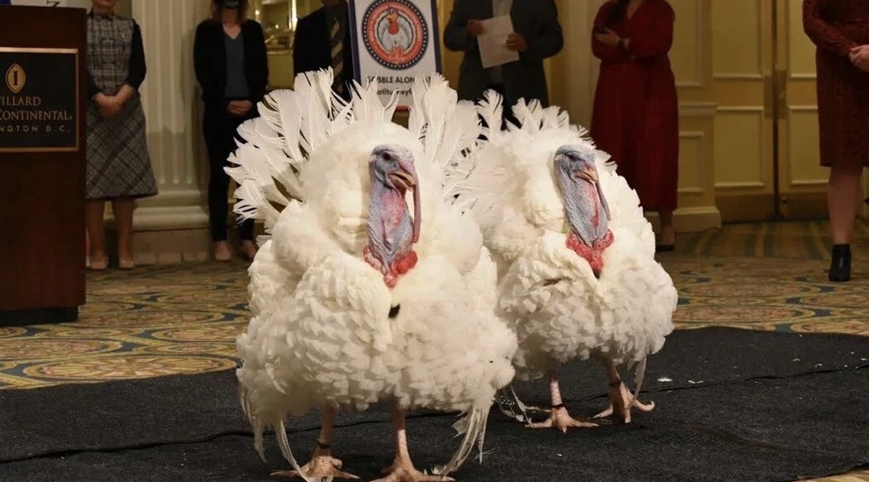 День благодарения (Thanksgiving Day)