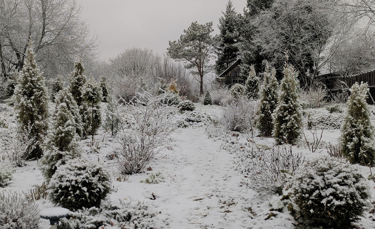 Представляешь, сегодня звонил сосед из деревни. Говорит, у них -25, и снег метра полтора...