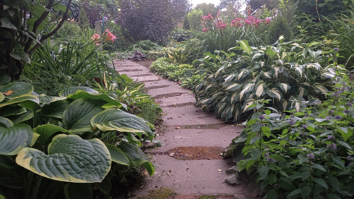 23 августа 2025 года