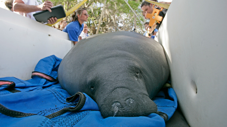    Фото: www.globallookpress.com/Barry Bland
