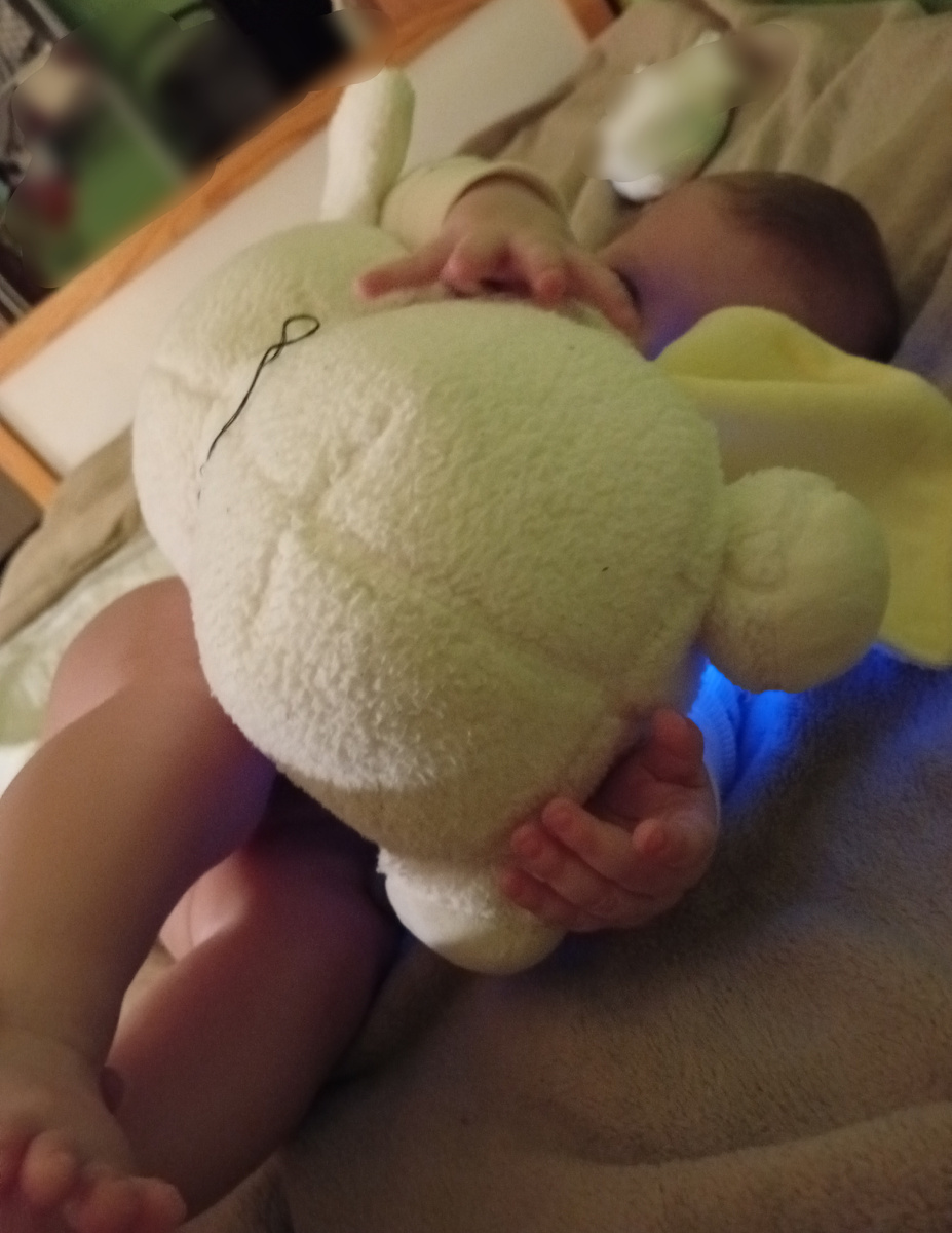 С любимой музыкальной овечкой