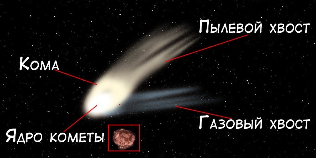    Строение кометы. Источник изображения: dzen.ru