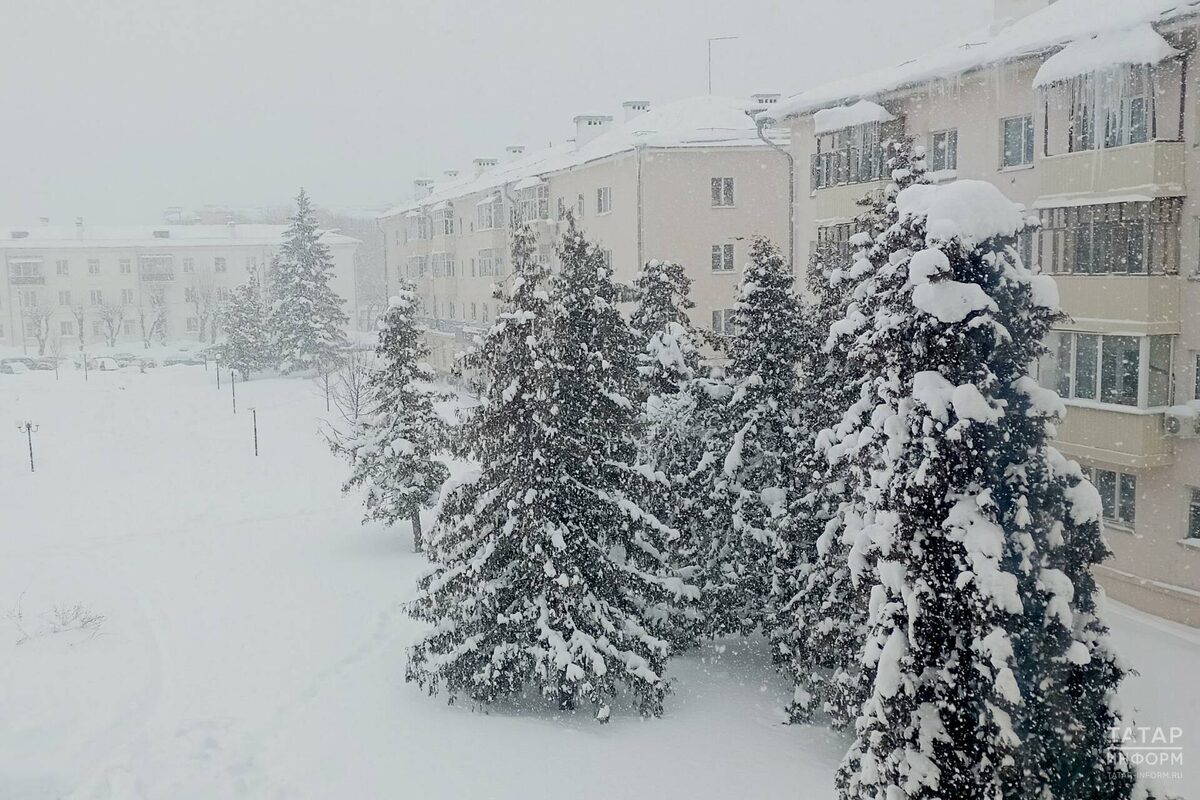 Фото: © Султан Исхаков / «Татар-информ»