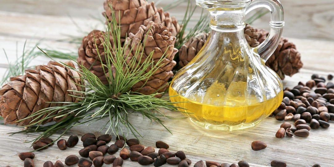 Зачем сибиряки пили кедровое масло и почему этот рецепт работает до сих пор