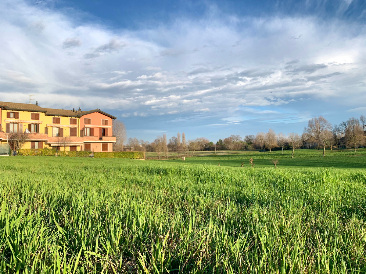 Трава в Италии зеленая круглый год. Фото автора.
