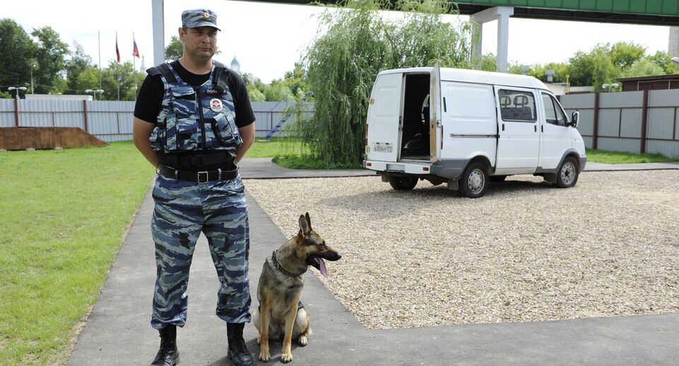    Медиасток.рф