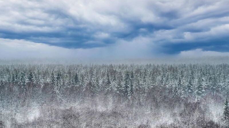    Фото: Evgenii Panov/Shutterstock/Fotodom