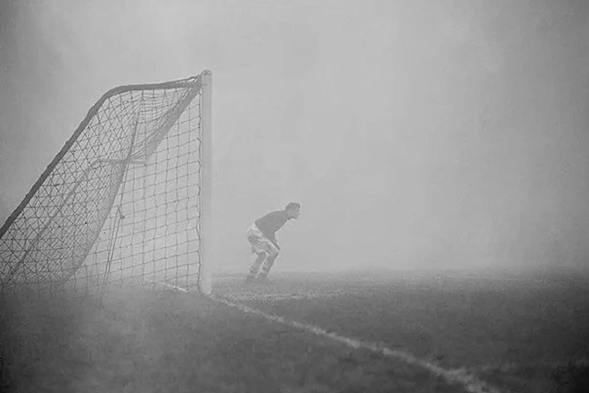 Фото: fcdynamo.ru