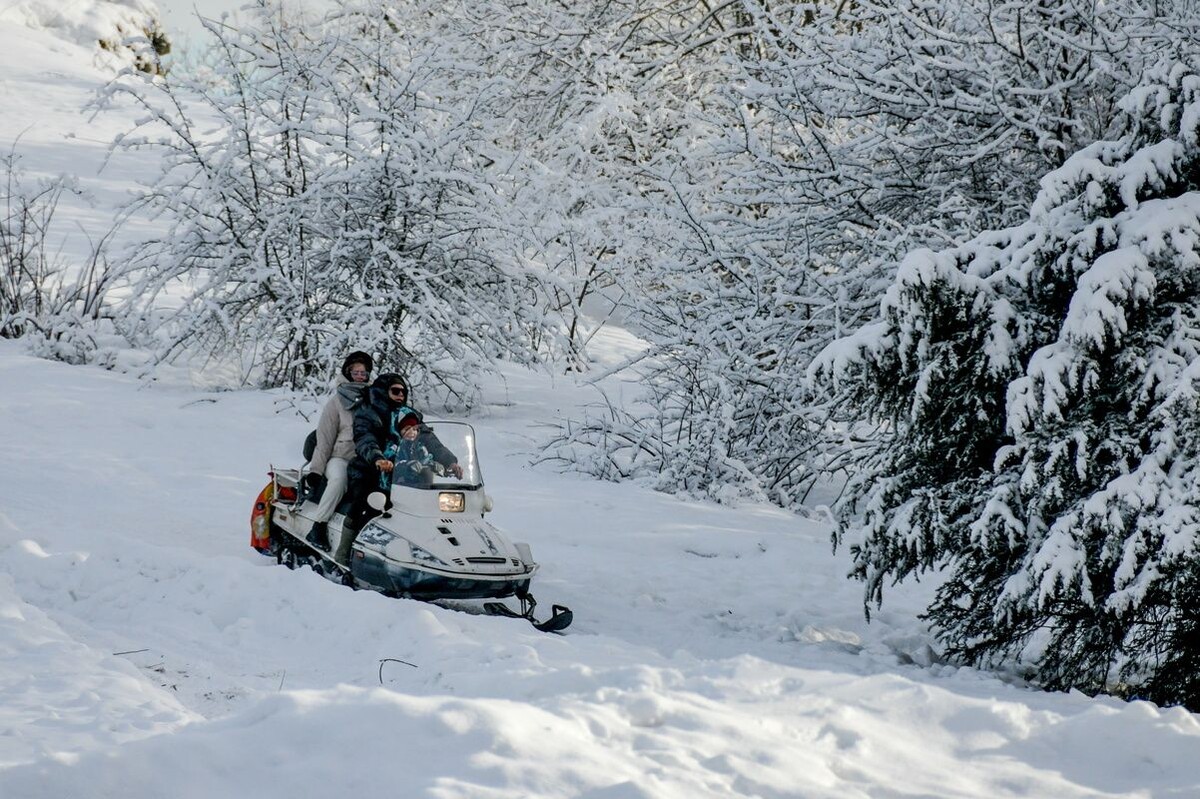     / Источник: © Роман Соколов/ТАСС