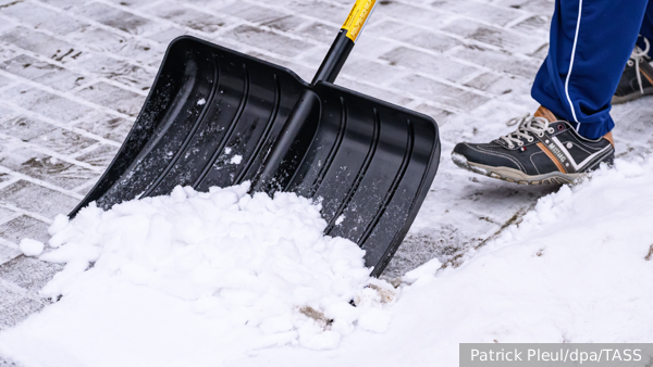     Фото: Patrick Pleul/dpa/TASS   
 Текст: Денис Тельманов