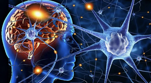 Рождение вновь