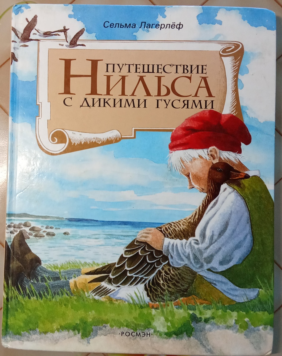 Обложка книги.