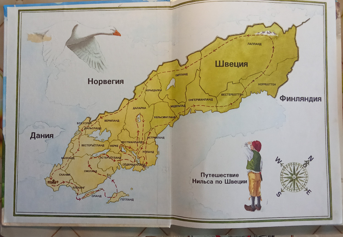 Иллюстрация из книги.