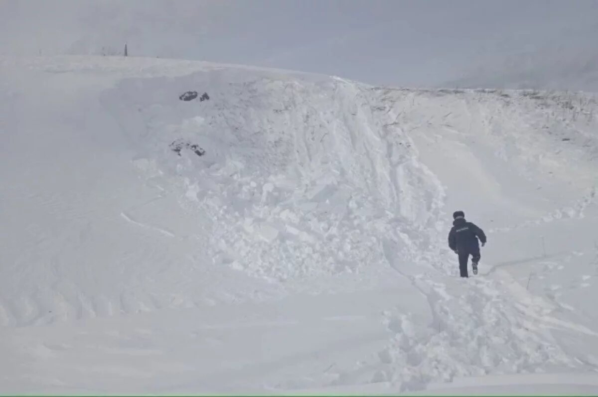    Уральским школьникам раздадут памятки по самоспасению из снежного плена