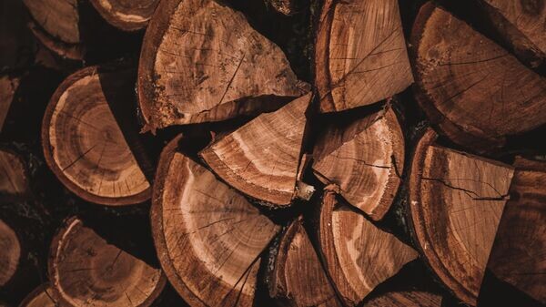    © Photo : Unsplash / Tijana Drndarski