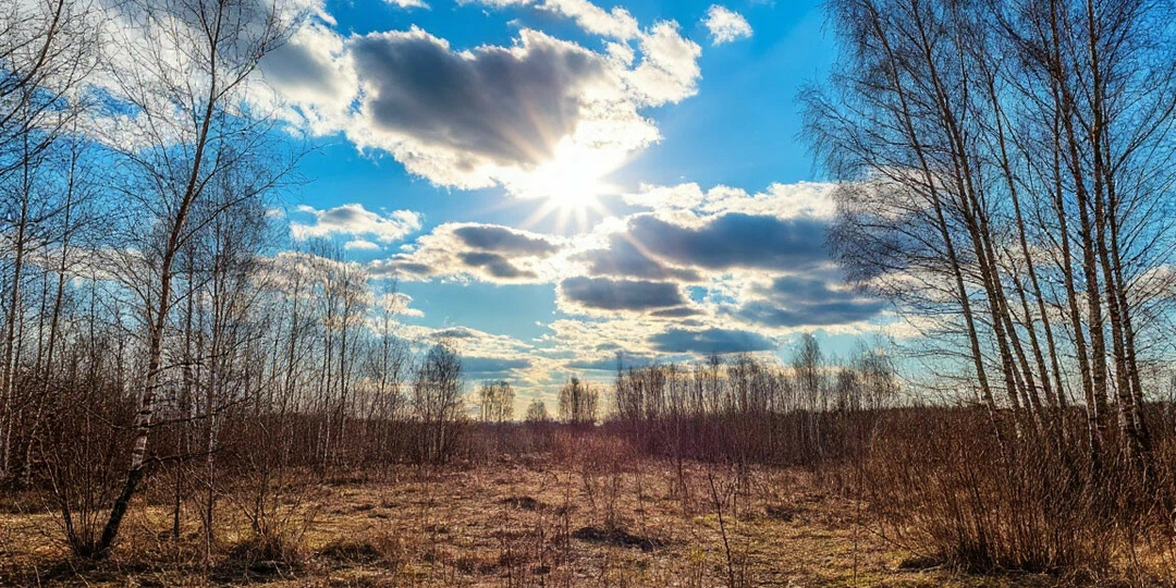 4 апреля: Василий Тёплый. Мелочь и ворон не считай.