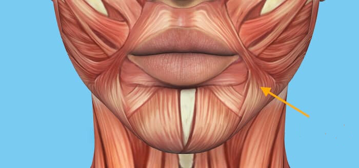 Мышца-депрессор